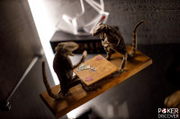 JOKER | Poker Club (7 столов) photo42 thumbnail